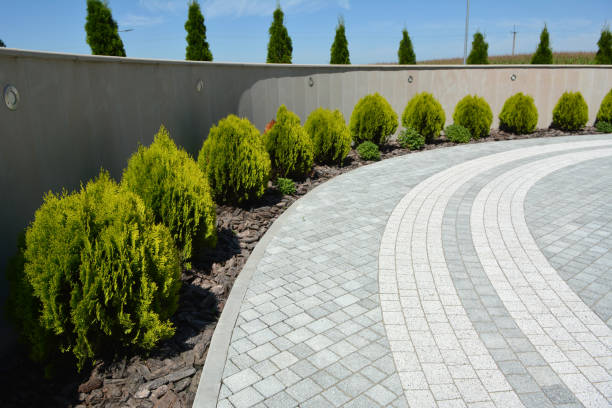 Best Commercial Driveway Pavers  in Mira Monte, CA